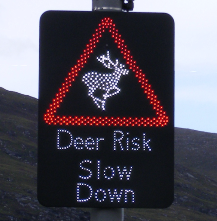 Position statement - Wildlife signs on Scottish Roads - July 2022