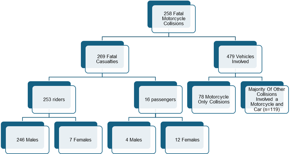 Overview 2: Overview of motorcycle casualties and vehicles involved - as described in the text of this chapter